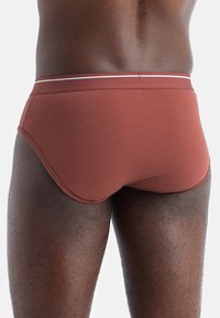 icebreaker ANATOMICA - Slip - BURGUNDY