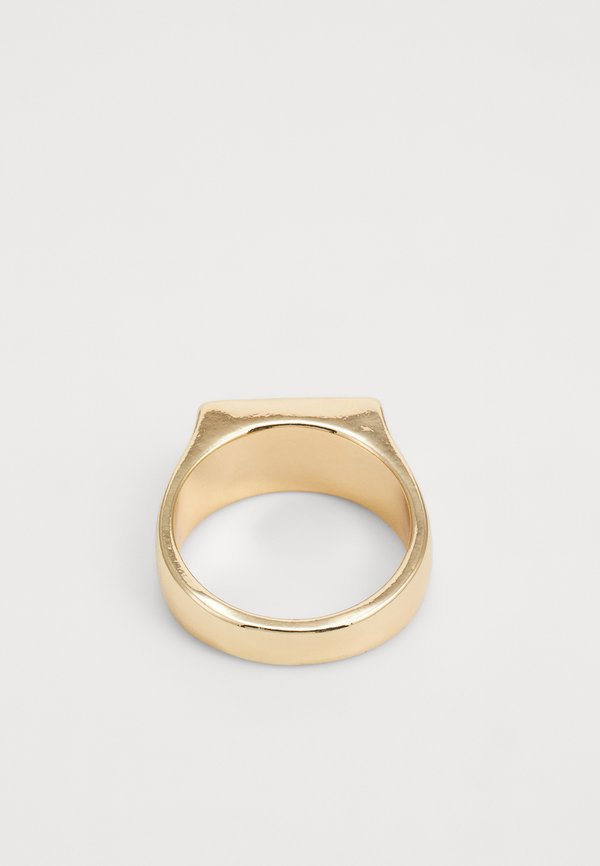 DYNASTY SIGNET - Ring4