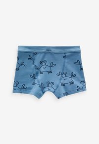 Next SOFT WAISTBAND 5 PACK - REGULAR FIT - Panties - seaside print