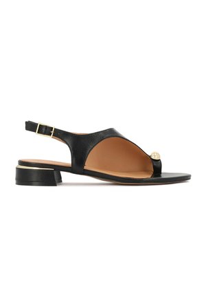 Zwarte leren sandaal met open teen, enkelbandje met gouden hardware en een kleine, gestapelde hak. Gladde textuur en minimalistische stijl.
