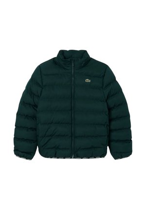 Giacca a vento trapuntata verde scuro con cerniera frontale completa e piccolo logo coccodrillo Lacoste sul petto.