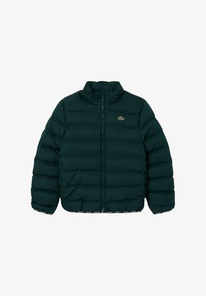 Giacca a vento trapuntata verde scuro con cerniera frontale completa e piccolo logo coccodrillo Lacoste sul petto.