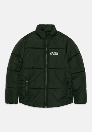 JJMAX PUFFER JACKET - Winterjas - mountain view