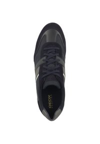 Geox WELLS   - Sneakers basse - navy