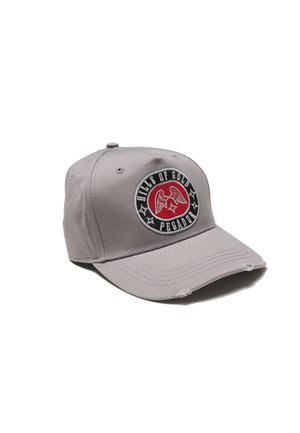 Pegador ALGON DESTROYED UNISEX - Cap - grey