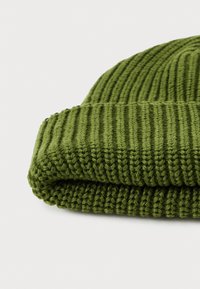 Green knitted beanie featuring a ribbed texture and folded cuff. Made from soft yarn, it showcases vertical lines and a snug fit.