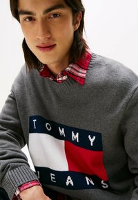 Gray sweater with a colorful logo, featuring red, white, and blue accents. Layered with a red and white plaid shirt underneath.