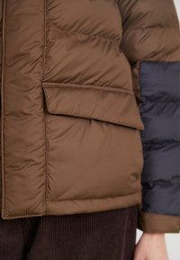 The North Face LIMBARA INSULATED JACKET - Giacca invernale - smokey brown