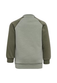 Grüner und olivfarbener Raglan-Sweatshirt mit langen Ärmeln, weichem Stoff, gerippten Bündchen und Halsauschnitt. Hat ein einfaches, schmuckloses Design.