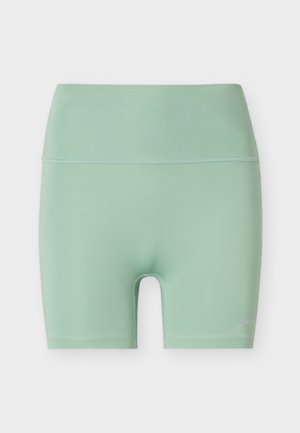Light green high-waist athletic bike shorts with a small reflective Nike logo on the left leg against a white background.