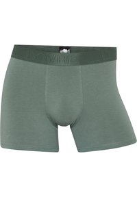 Dovre 3 PACK - Trunks - green
