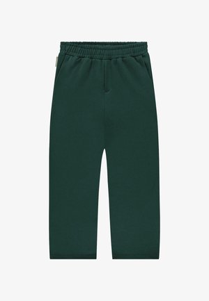 Tumedad rohelised dressipüksid elastse vöökohtadega, küljetaskutega ja mugava lõikega. Valmistatud pehmest kangast, millel on sile tekstuur.