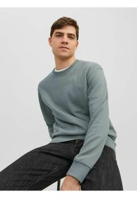 Jack & Jones JJESTAR CREW NECK - Mikina - sedona sage