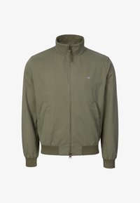 Ei valittu, dry herb green