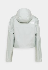 Chaqueta corta color gris claro con capucha adjunta. Cuenta con una textura lisa y brillante y un logo en la parte superior de la espalda. Diseño sencillo con mangas largas.