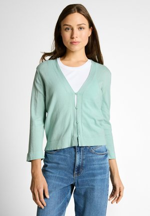 Junge Frau mit langen braunen Haaren trägt eine hellgrüne, geknöpfte Strickjacke über einem weißen Top und blauen Jeans und steht vor einem schlichten Hintergrund.