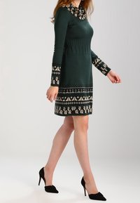 Stickad klänning i mörkgrön med långa ärmar, krage, mönstrad fåll och blomdetaljer i krämfärg. Bärs med svarta klackar.