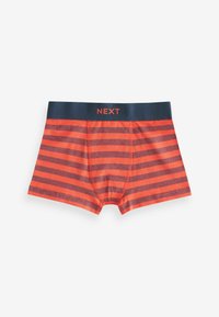Next 10 PACK - Panties - bright star and stripes