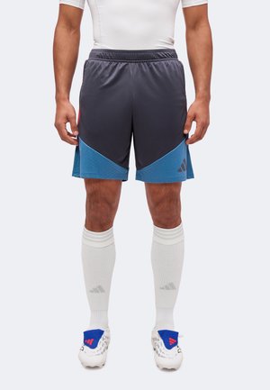 adidas Performance, CROATIA 26 TIRO TRAINING SHORTS - Екипировка на национален отбор - halo silver-coloured/altered blue