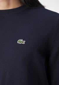 Gros plan sur une personne portant un pull en maille bleu marine foncé avec un petit logo de crocodile vert sur la poitrine.
