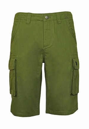 U.S. Polo Assn. MIT GROSSEN SEITEN - Shorts - olive