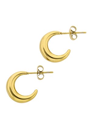 Een paar glanzende gouden oorbellen in de vorm van een halve maan met stekers, op een witte achtergrond.