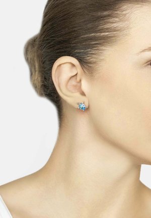 Silver earrings with a turtle design, featuring a blue gemstone at the center and small accent stones, worn on the earlobe.