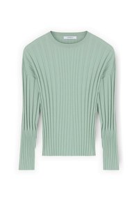Světle zelený žebrovaný pletený svetr s dlouhými rukávy, kulatým výstřihem a vertikální texturou. Má přiléhavý střih a jemný, měkký povrch.