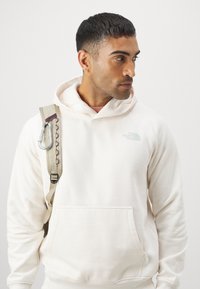 The North Face RAGLAN BOX HOODIE - Jersey con capucha - white dune/muted pine