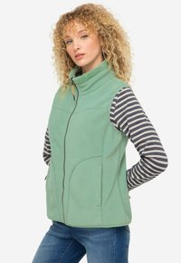 Zelená fleecová vesta s vysokým límcem, dvěma bočními kapsami a předním zipem. Nasažena na pruhovaném dlouhém rukávu.