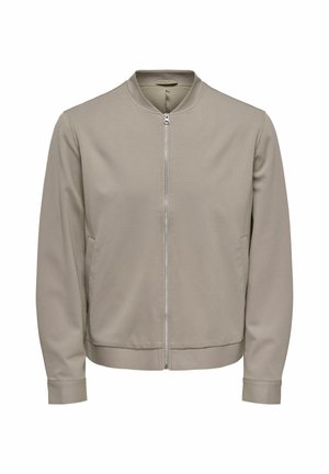 Light gray bomber jacket with a zip front, ribbed cuffs, and hem. Smooth fabric with side pockets and a round neckline.