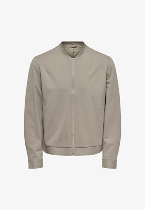 Veste bomber gris clair avec fermeture éclair à l'avant, poignets et ourlet côtelés. Tissu lisse avec poches latérales et col rond.