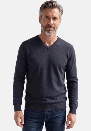 Mann mittleren Alters mit grauem Haar und Bart, der einen dunkelgrauen V-Ausschnittpullover und blaue Jeans trägt und vor einem schlichten weißen Hintergrund steht.