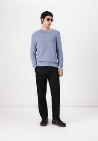 Pulover bleu deschis, cu dungi, cu manșete ribbate, asortat cu pantaloni negri și adidași închiși la culoare. Model care poartă ochelari de soare închiși.