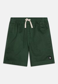 Element CHILLIN - Shorts - garden topiary