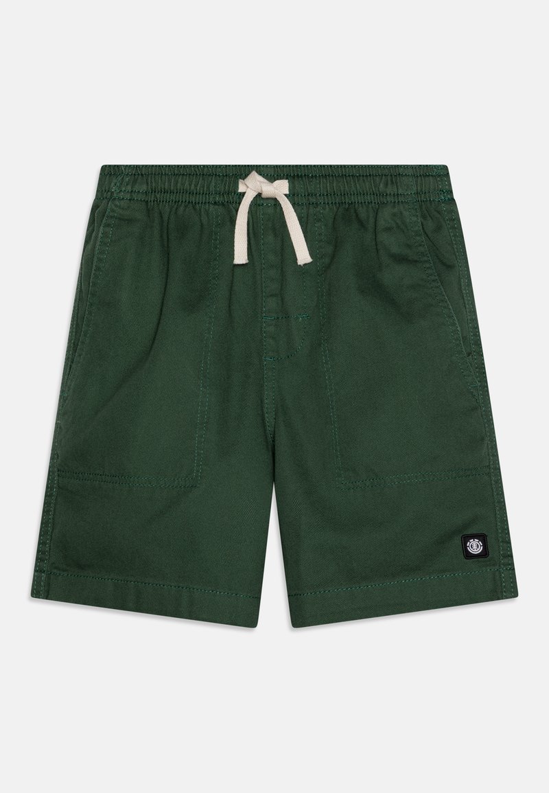 Element CHILLIN - Shorts - garden topiary