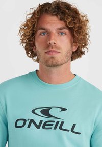 Lichtblauwe O'Neill sweatshirt met een ronde halslijn, met een prominent zwart logo ontwerp op de borst. Zachte stoftextuur.