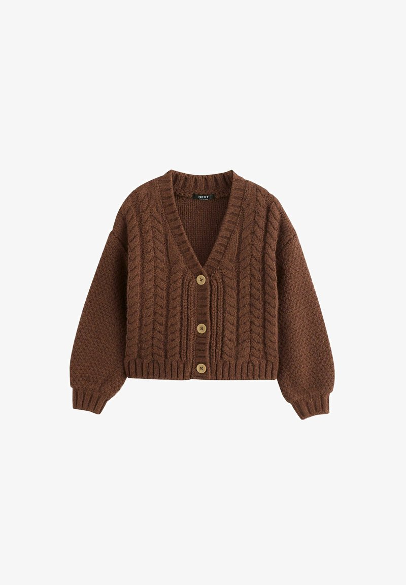 Brown knitted cardigan with cable pattern, V-neck, long sleeves, ribbed cuffs and hem, and three wooden buttons down the front.