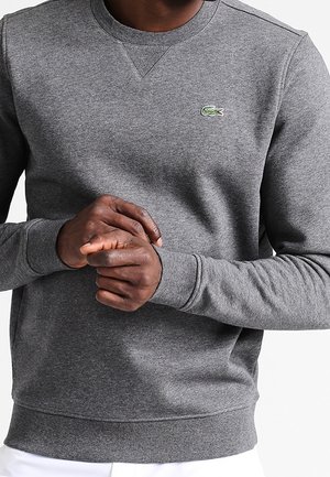 Mann trägt ein graues langärmeliges Sweatshirt mit Rundhalsausschnitt und kleinem grünem Krokodil-Logo auf der Brust, die Hände ineinander verschränkt.