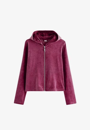 Soft velvet dark pink zip-up hoodie with long sleeves and a relaxed fit, shown on a white background.