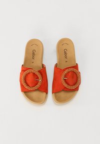 Thumbnail Image 4