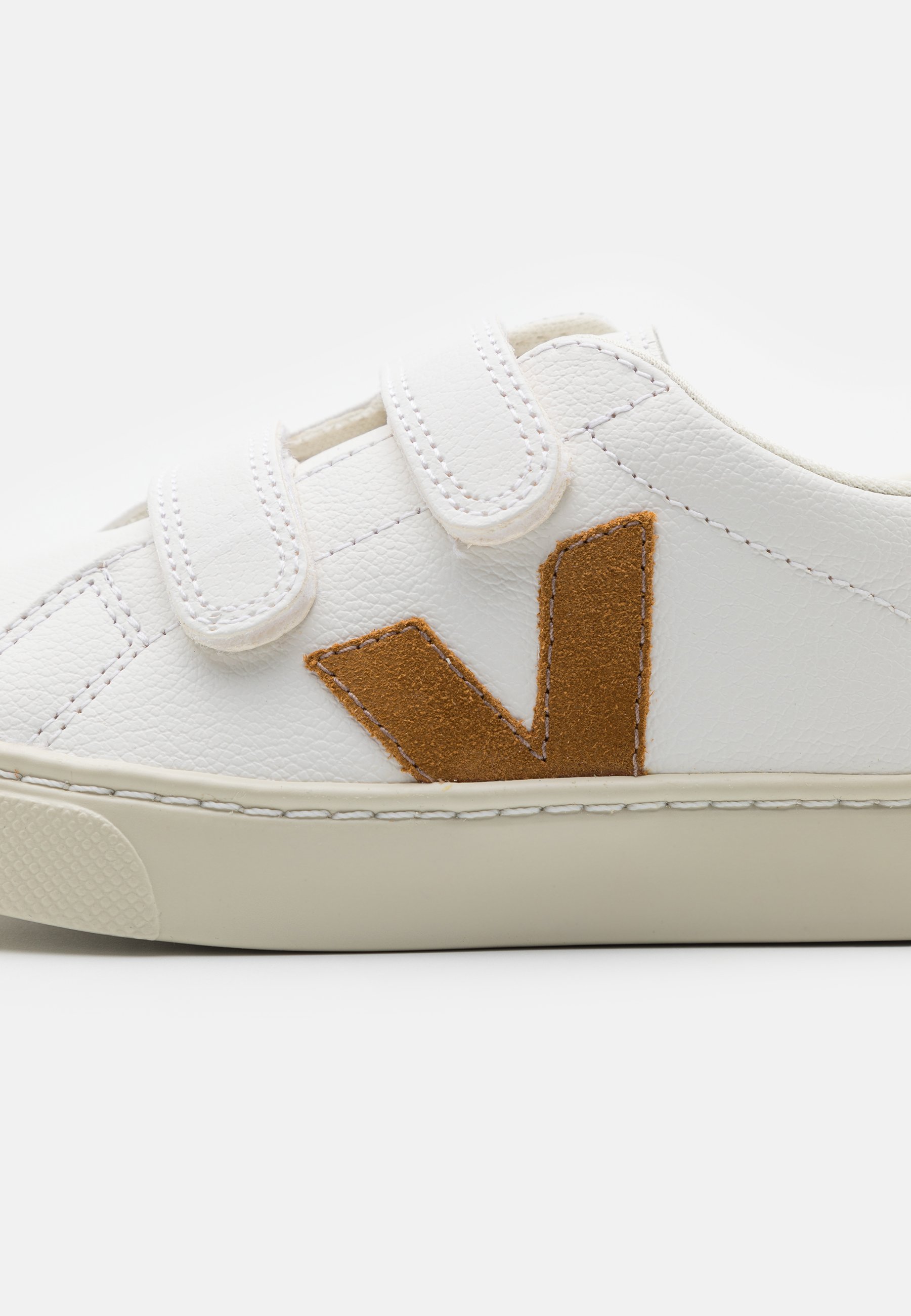 veja camel trainers