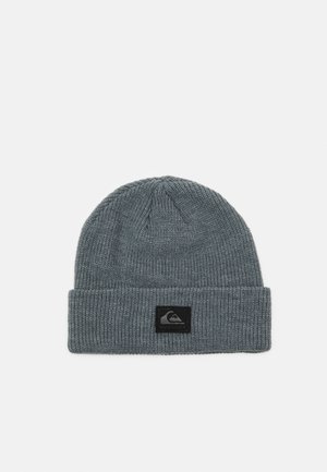 Gray knit beanie with a folded cuff, featuring a black label with white mountain logo. The material appears soft and textured.