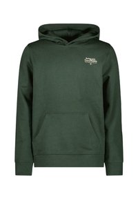 Cars Jeans DUKEY  - Hoodie - bottle