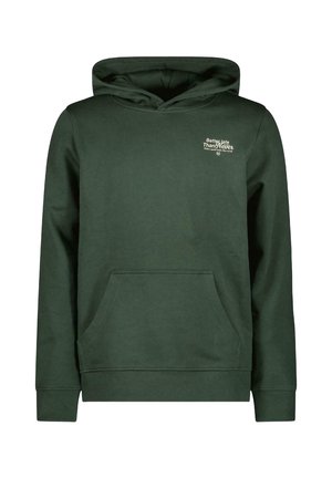 Cars Jeans DUKEY  - Sweat à capuche - bottle