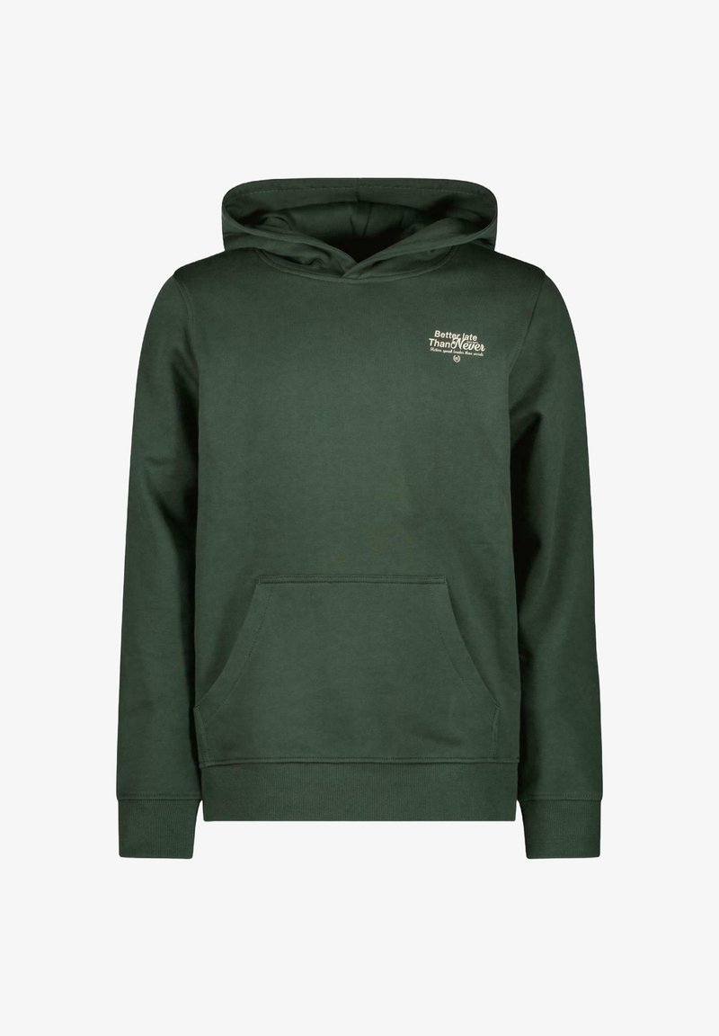 Cars Jeans DUKEY - Hoodie - bottle