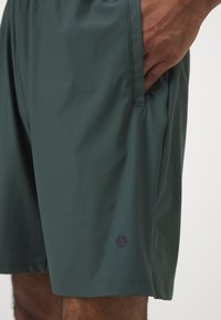 Björn Borg ACE SHORTS - Sportiniai šortai - blue-grey