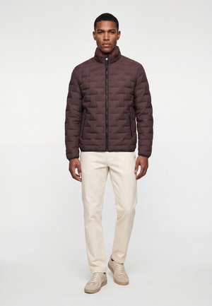 Mann trägt eine dunkelbraune gesteppte Jacke, beige Hose und beige Sneakers und steht vor einem schlichten weißen Hintergrund.