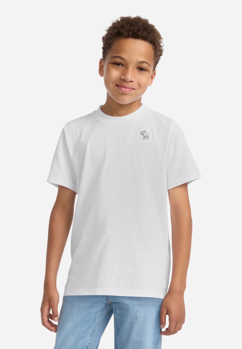 Abercrombie & Fitch SHORT SLEEVE ESSENTIAL TEE - Basic póló - bright white