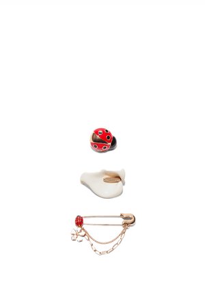 Broška pikapolonica v rdeči in črni barvi, bel sponka v obliki školjke ter zlata varnostna zaponka z obeski pikapolonice in cvetlice na belem ozadju.